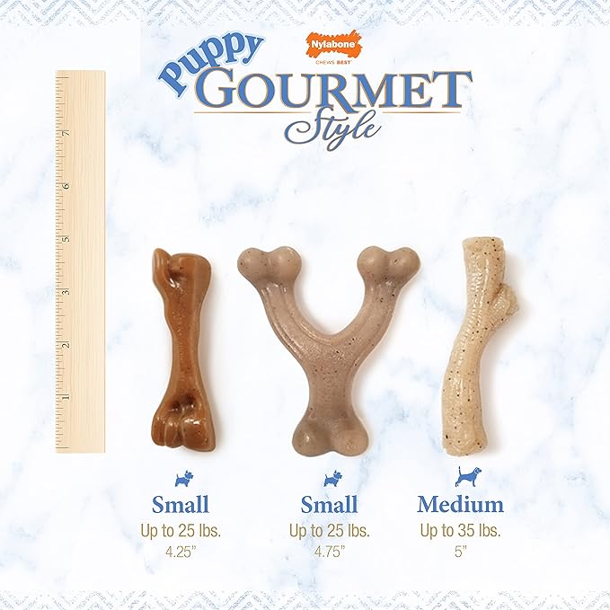 Nylabone Gourmet Style Femur, Wishbone, & Stick Strong Chew Toy for Puppies, Bacon, Chicken & Peanut Butter Flavor, Small - Up to 25 Ibs, 3 Pack