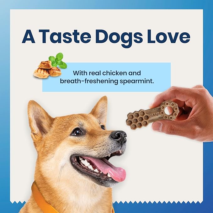 Blue Buffalo Dental Chews Small Natural Dog Treats, Chicken & Spearmint 11.3-oz Bag (28 Count) (Pack of 4)