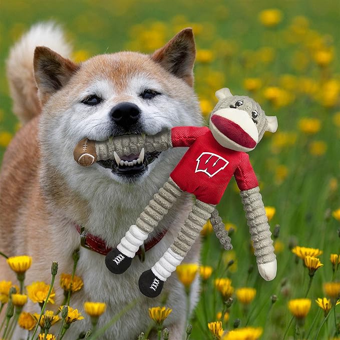 Littlearth NCAA Unisex NCAA Sock Monkey and Flying Disc Pet Toy Combo Set