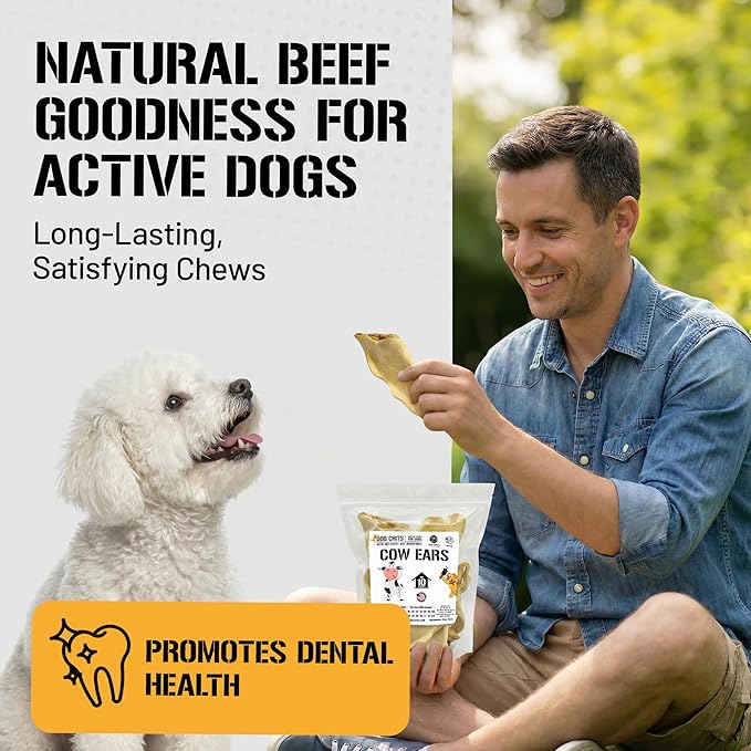 Dog Chits Cow Ears for Dogs – All Natural Cow Ear Dog Treats & Training Chews – High Protein, Low Fat – Thick Cut, Half Ears – Dental Clean Crunch – Ideal for Medium & Large Dogs – Large, 10 Pk
