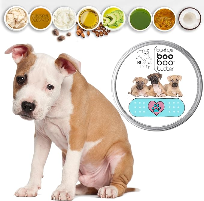 The Blissful Dog BB-AMSTAFF-16OZ Samoyed Boo Butter