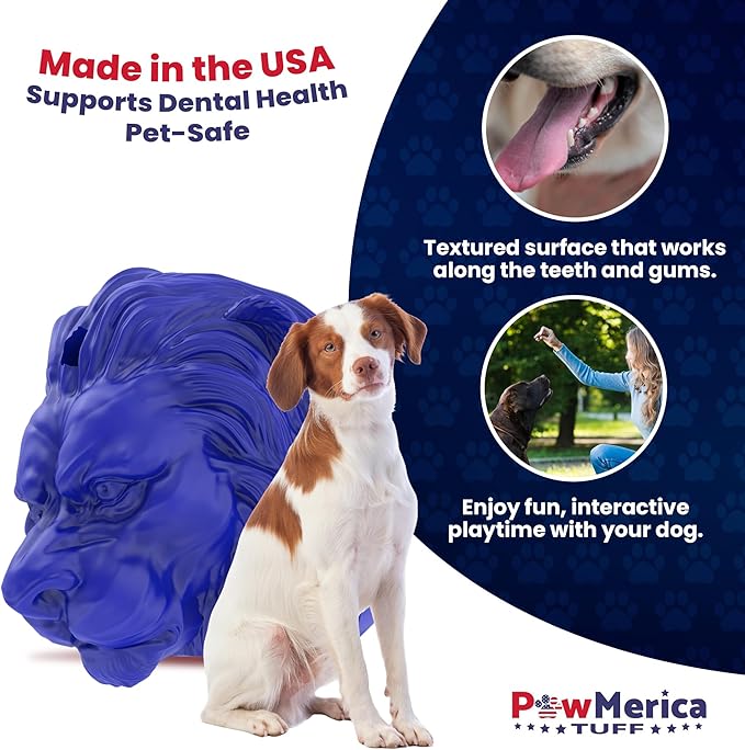 PawKing – Indestructible Dog Toy for Aggressive Chewers – Lion-Shaped for Interactive & Engaging Play – Cleans Teeth & Massage Gums – Pet-Safe & Made in USA (3.90 x 3.5 x 3.25 Inches)