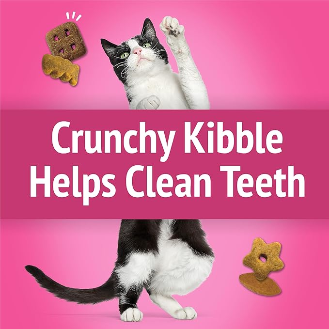 Friskies Purina Party Mix California Crunch with Chicken and Flavors of Turkey and Bacon Cat Treats - 30 oz Canister (Pack of 2)