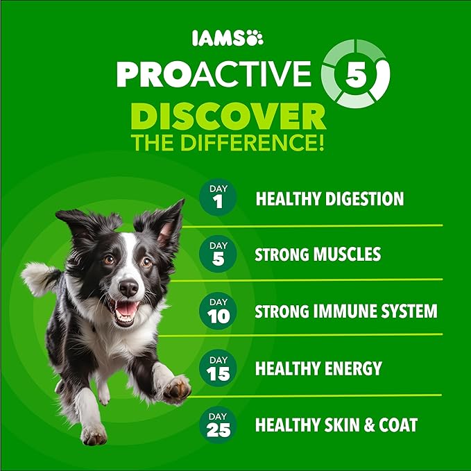 IAMS Proactive Health High Protein Dry Dog Food with Chicken & Beef, 5 lb. Bag