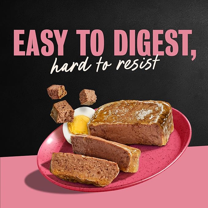 Cesar Classic Loaf in Sauce Wet Dog Food Breakfast Lovers, Smoked Bacon & Egg Flavor, and Scrambled Egg & Sausage Flavor, 3.5 oz. Easy Peel Trays, Wet Dog Food Variety Pack (12 Count, Pack of 2)