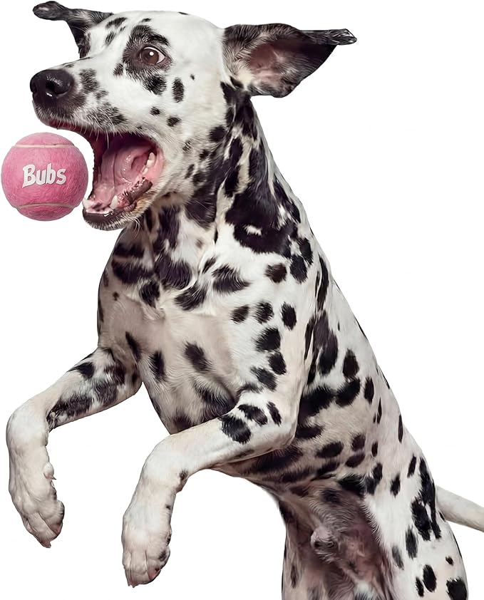 BubS Premium Durable Squeaker Balls for Dogs & Cats 3-Pack (2.5 inch) – Tennis Ball Style, Bouncy, Interactive, Safe & Long Lasting Fetch Pet Toys for Endless Fun (Large)