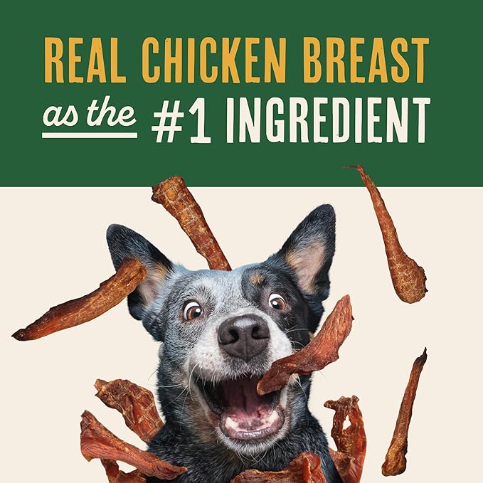 Waggin' Train Smoked Chicken Jerky Tenders for Dogs with Turmeric and Human Grade Bone Broth, Grain and Corn Free, High Protein, Premium Limited Ingredient 100% Real Chicken Dog Treats, 24 oz. Pouch
