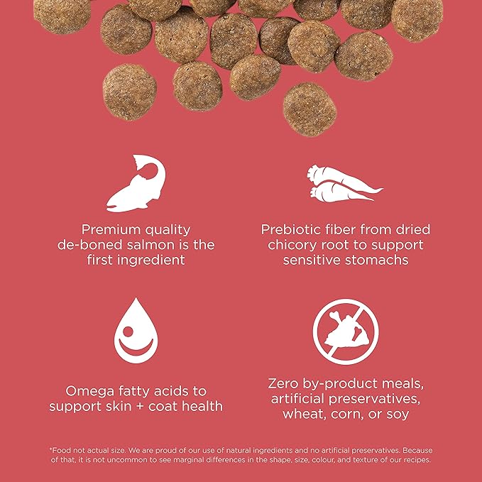 Go! Solutions Sensitivities Limited Ingredient Salmon Grain-Free Dry Dog Food, Chicken-Free Kibble Made by Experts for Sensitive Stomachs & Food Allergies, for Puppies, Adults, & Seniors, 12 lb Bag