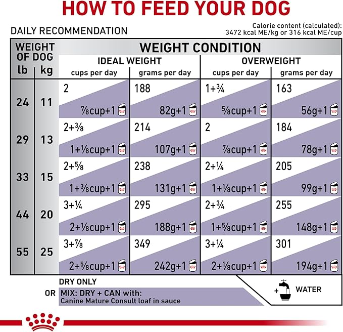 Royal Canin Veterinary Diet Canine Medium Mature Consult Mature Dry Dog Food, 19.8 lb Bag