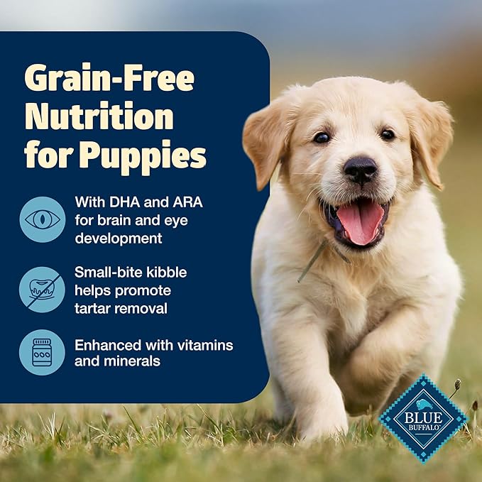 Blue Buffalo Freedom Grain-Free Puppy Dry Dog Food with DHA, Complete & Balanced Nutrition for Puppies, Made in the USA, Chicken & Potatoes, 11-lb Bag