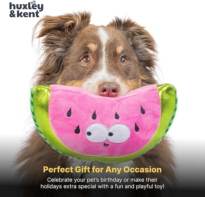 Huxley & Kent Funny Dog Toy w/Squeaker – Power Plush Squeaky Dog Toys for Small, Medium & Large Dogs – Soft Stuffed Animal for Indoor Play & Fetch - Fetchies® Walter Melon, Large