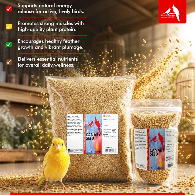 Morning Bird Canary Seed 4.5 lbs (3-Pack, 1.5 lbs Each), Nutrient-Rich Bird Seed, Creamy Golden Grain Powerhouse - Supports Healthy Feathers & Strong Bones – Natural Daily Nutrition for All Bird Types