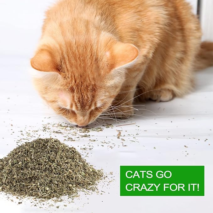 Dried Catnip, Natural Catmint, Used as a Snack or Filling Cat Toy, Delicately Dried and Sealed and Packaged for Easy Preservation