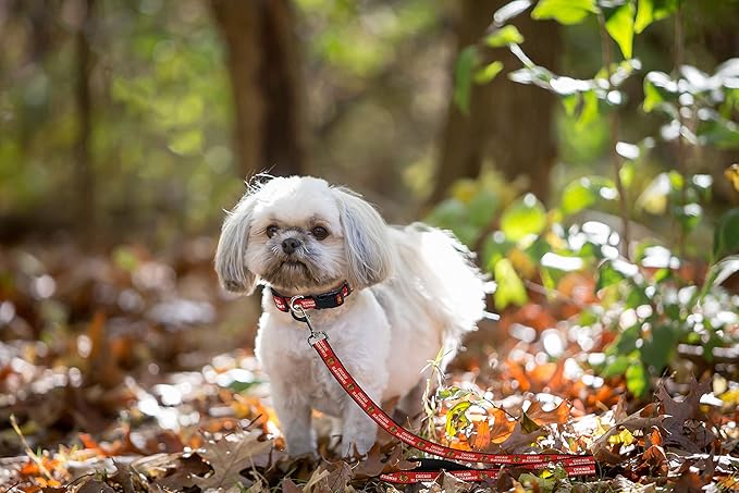 Pets First NHL Chicago Blackhawks Leash for Dogs & Cats, Large. - Walk Cute & Stylish! The Ultimate Hockey Fan Leash!, 6 ft Long x 1 in Width, BHK-3031-LG