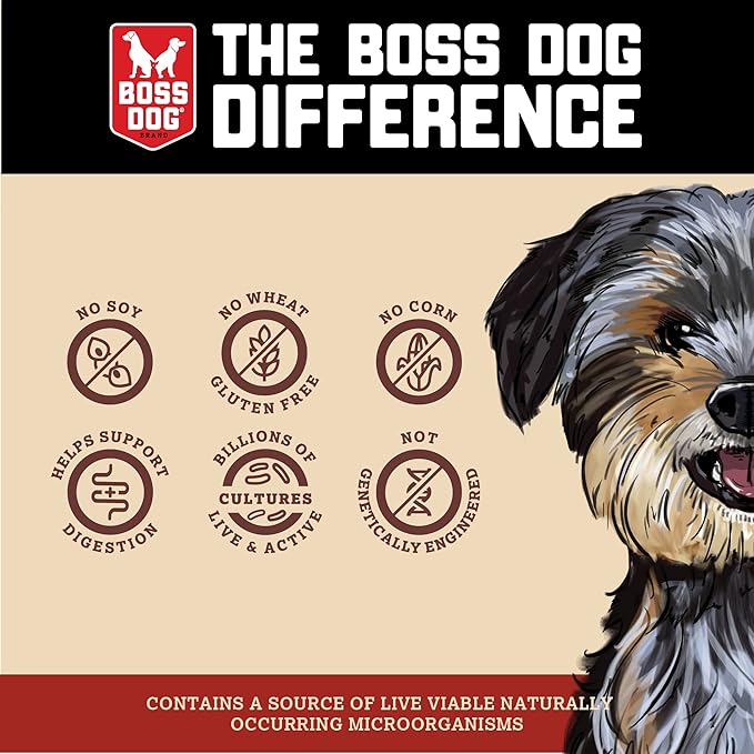 Boss Dog Boss Proballs Meatball Treats for Dogs & Cat, Pork Recipe, 6 oz Jar (Jar of 2)