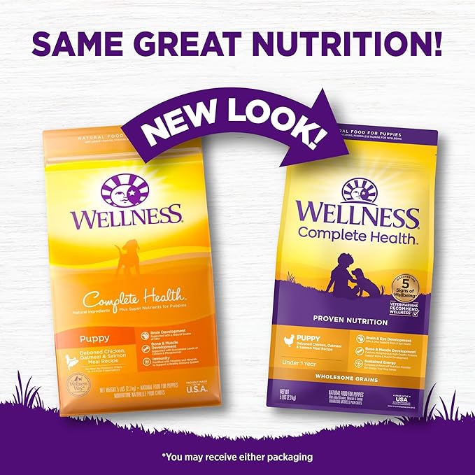 Wellness Complete Health Puppy Dry Dog Food, Wholesome Grain Kibble, Natural, Chicken, Oatmeal, and Salmon Recipe, 5 lb Bag
