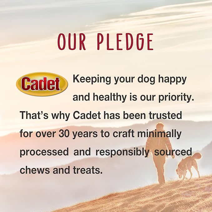 Cadet Bully Sticks for Small Dogs, All-Natural Beef Pizzle, Rawhide-Free Long-Lasting Dog Chews for Aggressive Chewers, 1 Count