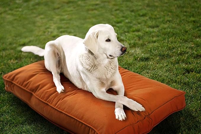Sunbrella Double Sided Dog Bed for Indoor/Outdoor, Washable Cover & Chew Proof, Pets Mat for Multipurpose, Easy Care & Pet Safe Products for Dogs & Cats (X-Large, Polyester, Cayenne,54”x42”x5)