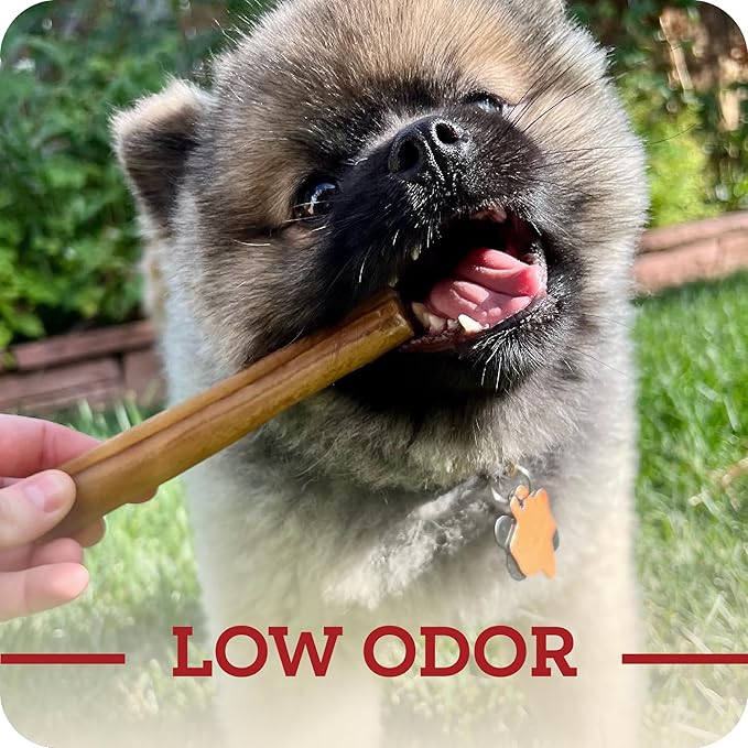Redbarn Pet Products Redbarn Natural 12" Beef Collagen Braids - Case of 20 Sticks - Long Lasting Low-Odor Alternative to Rawhide & Bully Sticks -Single Ingredient Chew for Medium Large Dogs