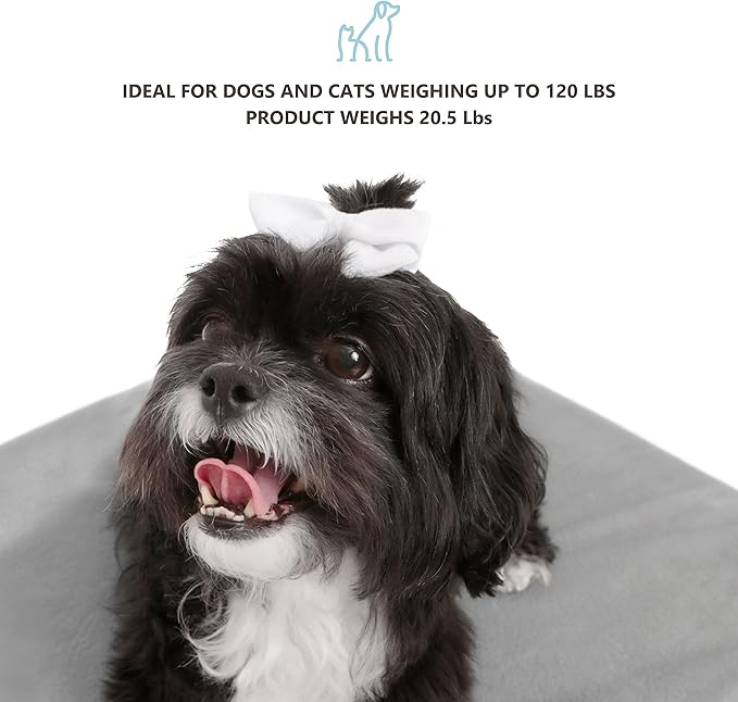 Wooden Dog Bed with Water-Resistant Mattress, Small to Medium Elevated Pet Bed with Calming Pet Mattress, Greenguard Gold Certified, Modern Dog Couch, Winston - TailZzz