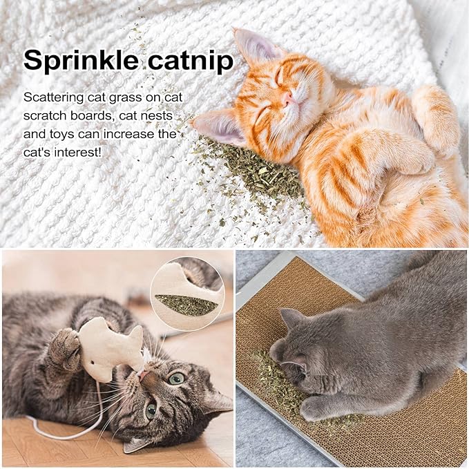 Dried Catnip, Natural Catmint, Used as a Snack or Filling Cat Toy, Delicately Dried and Sealed and Packaged for Easy Preservation