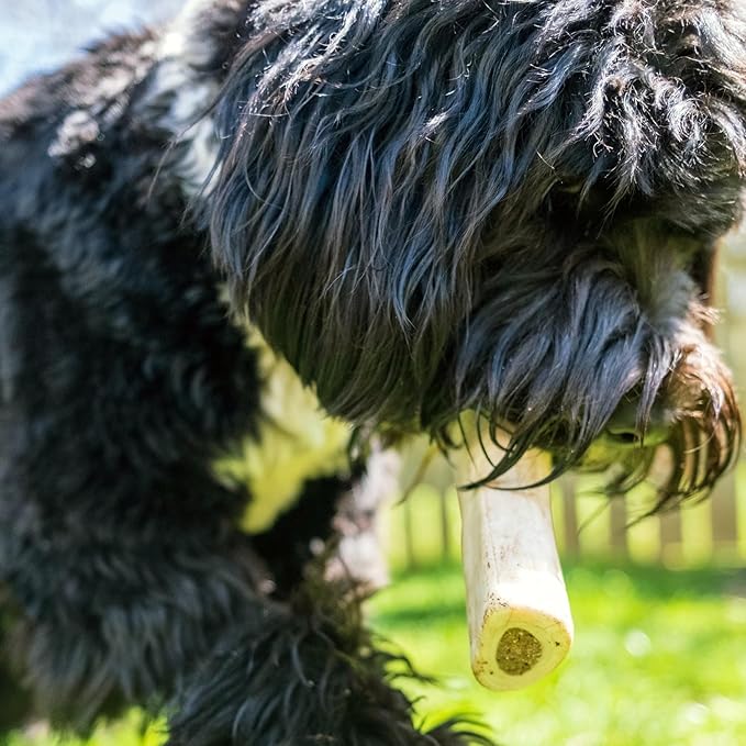 Cadet Stuffed Shin Bone, Long-Lasting Dog Chew Bones for Aggressive Chewers, High Protein Filled Bone Dental Chew for Dogs, Bacon & Cheese Flavor Filling, 5-6" for Large Dogs