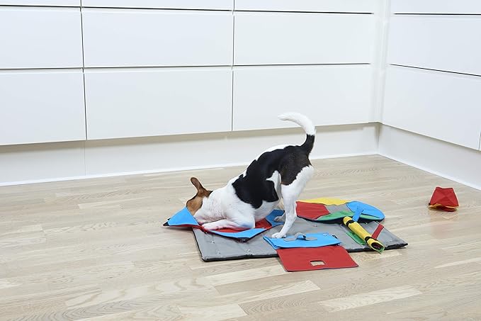 Kruuse Buster Activity Mat Dog Puzzle Task – Level 3 Enrichment Cloth for Mental Stimulation & Interactive Treat Play