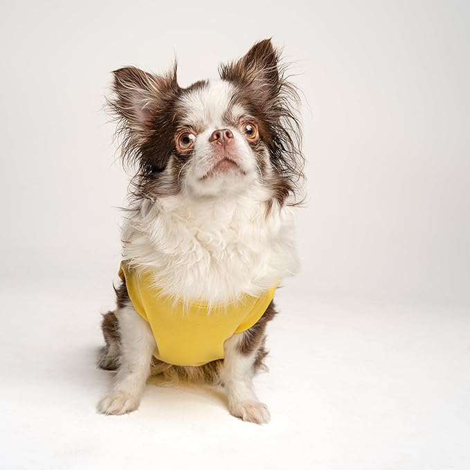 Ghana Flag Soccer Jersey Style Dog Tee Shirt | Sleeveless Breeds | International Soccer | Game Day |Yellow, 2X-Large 1788