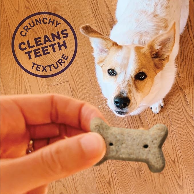 Old Mother Hubbard Wellness P-Nuttier Dog Biscuits,Natural,Training Treats,Peanut Butter Flavor,Mini Size,(6 Pound Box),(Pack of 2)