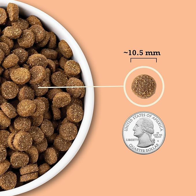 ACANA Wholesome Grains Dry Dog Food Puppy Recipe Real Chicken Eggs and Turkey 4lb Bag