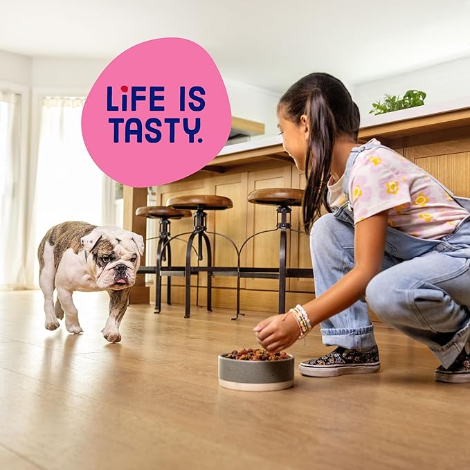 Kibbles 'n Bits Mini Bits Small Breed Dry Dog Food, Savory Bacon & Steak Flavor for Adult Dogs, 3.5 lb. Bag
