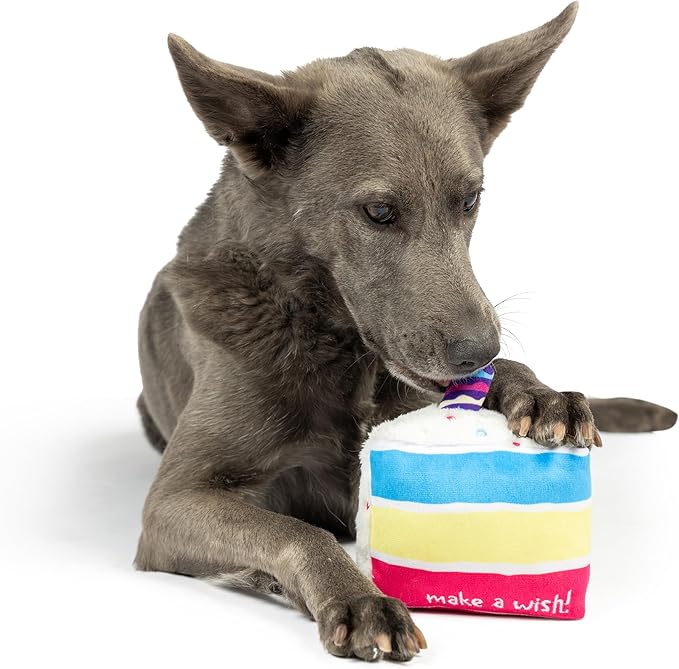 Huxley & Kent Funny Dog Toy w/Squeaker – Birthday Power Plush Squeaky Dog Toys for Small, Medium & Large Dogs – Soft Stuffed Animal for Indoor Play & Fetch - Make a Wish Cake, Large