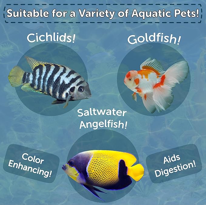 Brine Shrimp, Freeze Dried Floating Brine Cubes for Cichlids, Discus, Tetras, Goldfish, Bettas, Angel Fish, Marines, All Tropicals, Aquatic Turtles 2.45oz Canister