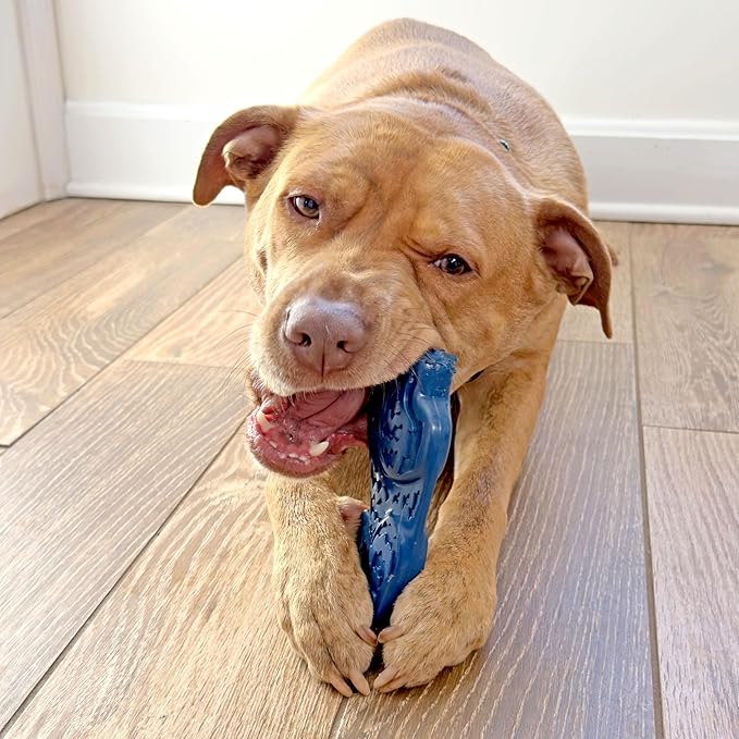 Nylabone Love Our Oceans Teddy Bear Power Chew Toy for Dogs, Recycled & Sustainable Dog Chew Bones, Made in USA, Beef Jerky Flavor, Large Dog Toys - Up to 50 lbs, 1 Count