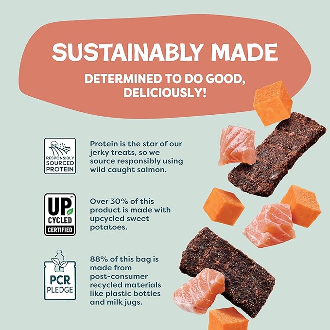 Shameless Pets Jerky Dog Treats, Salmon Loves Butternut - Healthy Dog Chews for Dogs Skin & Coat with Omega 3 & 6 - with Real Wild-Caught Salmon - Free from Grain, Corn & Soy - 1-Pack