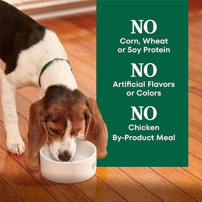 Nutro Natural Choice Dry Puppy Food, Dry Dog Food for Puppies, Lamb and Brown Rice Recipe, 45 lbs.