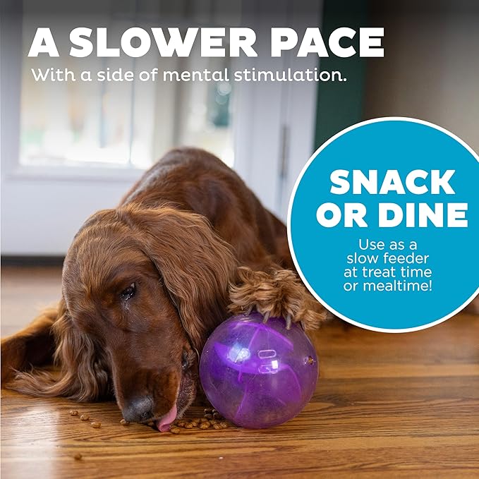 Outward Hound Orbee-Tuff Mazee Interactive Dog Puzzle Toy, Treat Dispensing Slow Feeder Ball, Purple, 4.7-Inch