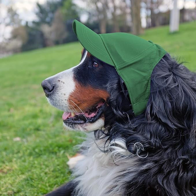 Littlearth NFL Green Bay Packers Pet Baseball Hat, Size - X-Large