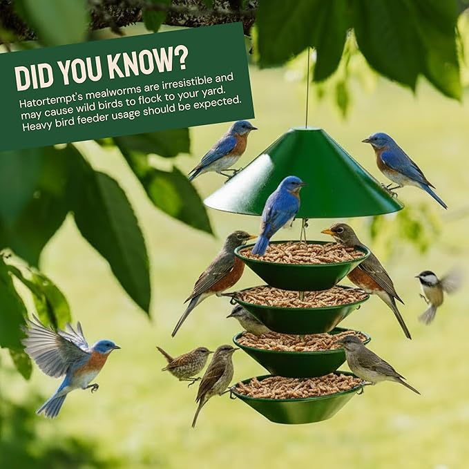 Hatortempt Dried Mealworms for Wild Birds - 1.8 Lb Bag - Non-GMO Meal Worms for Wild Birds - Attracts Bluebirds, Starlings, Wrens, Woodpeckers, Cardinals and Robins