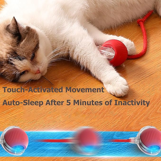 Interactive Electric Ball for Cats and Dogs – USB Rechargeable Automatic Chase Toy with Speedy Tail, Self-Playing Moving Pet Toy to Keep Them Busy. Ideal for Bored Indoor Cats & Anti-Boredom (Blue)