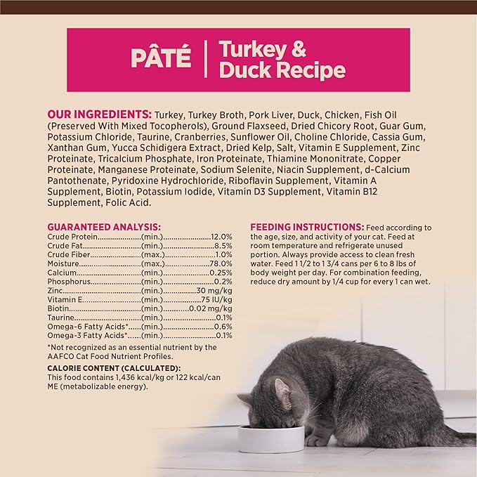 Wellness CORE Pate Adult Canned Wet Cat Food, Natural, Protein Rich, Grain Free, Turkey and Duck Recipe, 3 oz, Pack of 12 Cans