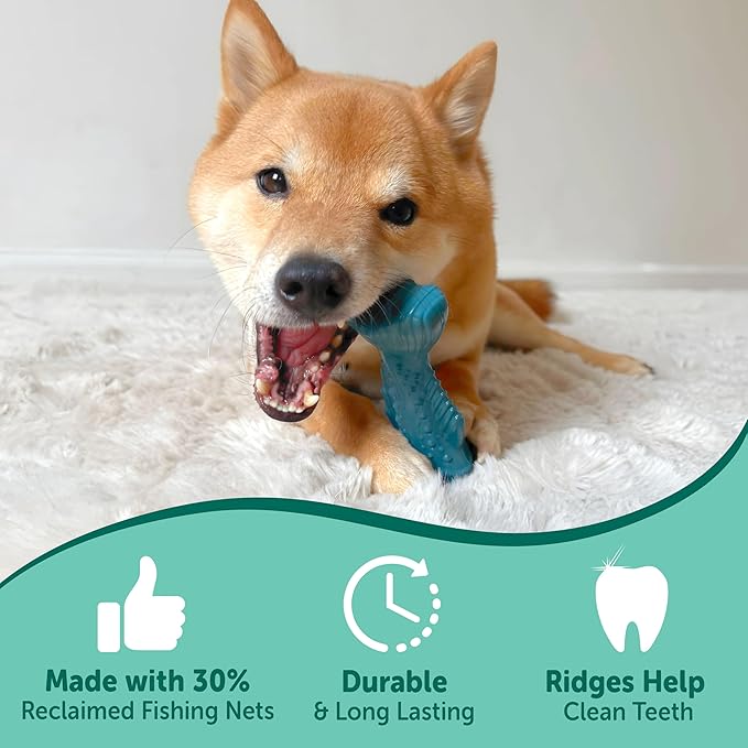 Nylabone Love Our Oceans Textured Fish Power Chew Toy for Dogs, Recycled & Sustainable Chew Bones for Dogs, Dog Toys Made in USA, Salmon Flavor, Medium Dog Toys - Up to 35 lbs, 1 Count