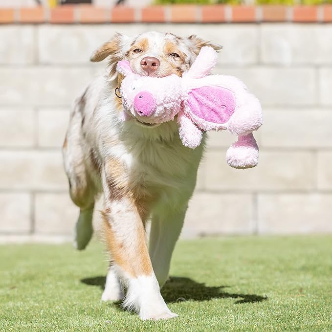 Huxley & Kent Slappies for Dogs | Piggie Smalls (Small) | Squeak & Shake Dog Toy | No Stuff Squeaky Toy, TPR Ball in Head | Simulates Hunting Nature for Dogs