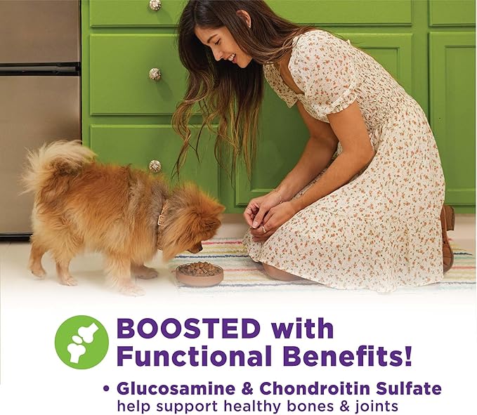 Wellness Bowl Boosters, Dog Food Topper for Small, Medium, & Large Breeds, Grain Free, Natural, Freeze Dried, Joint Health Chicken, 4 Ounce Bag (Pack of 2)
