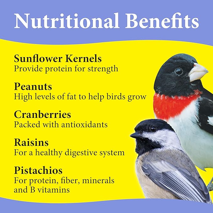 3-D Premium Nut N' Berry Wild Bird Food – Real Fruits, Nuts & Sunflower – No Fillers – Fortified with Vitamins & Electrolytes – Attracts Songbirds, Woodpeckers, Cardinals & More (Pack of 2)