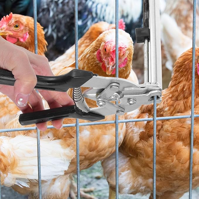 Milisten 1set Shaped Nail Pliers Kit for Assembling Chicken and Bird Cages Includes Resistant Nails for Easy Repairs and Fastening of Fencing and Enclosures