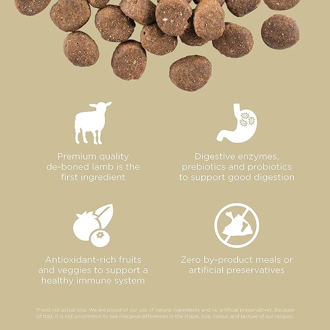 Go! Solutions Carnivore Lamb + Wild Boar Grain-Free Dry Dog Food, Our Highest-Protein Kibble Made with Real Meat, Pumpkin & Probiotics for Good Digestion, for Puppies, Adults & Seniors, 3.5 lb Bag