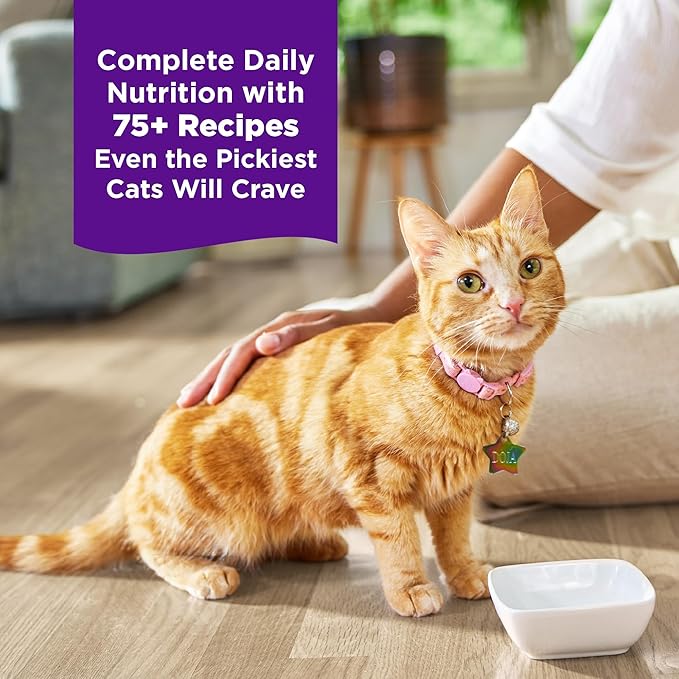 Wellness Complete Health Grilled Adult Canned Wet Cat Food, Natural, Protein Rich, Grain Free, Beef and Lamb Dinner Recipe, 3 oz, Pack of 12 Cans