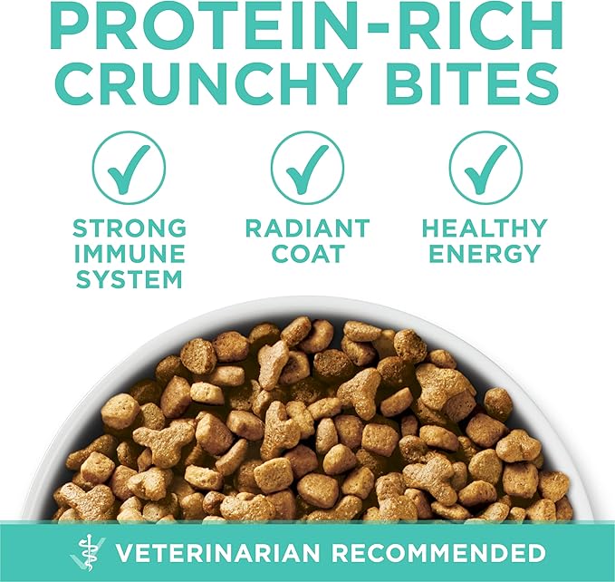 Purina ONE Sensitive Stomach, Sensitive Skin, Natural Dry Cat Food, +Plus Sensitive Skin and Stomach Formula - 16 lb. Bag