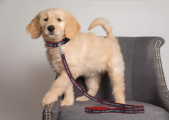 Pets First NHL Columbus Blue Jackets Leash for Dogs & Cats, Walk Cute & Stylish! The Ultimate Hockey Fan Leash!, Large (6 ft Long x 1 in Width) (CBJ-3031-LG)